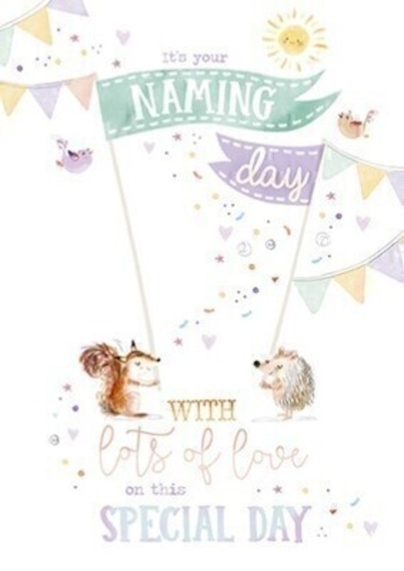 Naming Day Greetings Card by Paper Rose This Naming Day greetings card features a cute fox and hedgehog holding bunting and a banner saying ITS YOUR NAMING DAY decorated with birds and confetti and has WITH LOTS OF LOVE ON THIS SPECIAL DAY written on the front.  This delightful card is ideal to send to someone celebrating their Naming Day and has Hip Hip Hooray written inside. It comes complete with an envelope and is a lovely card designed by Avocado Designs from Paper Rose.